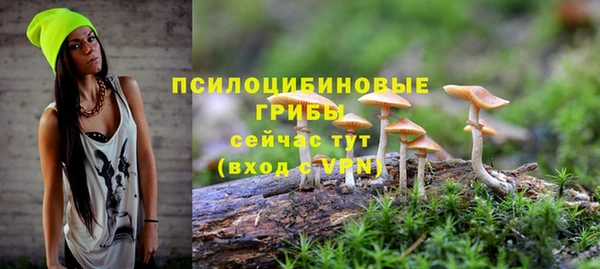 синтетический гашиш Алексин