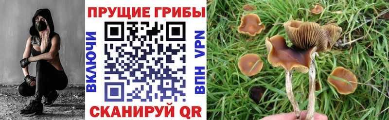мориарти телеграм  Сыктывкар  Галлюциногенные грибы прущие грибы 